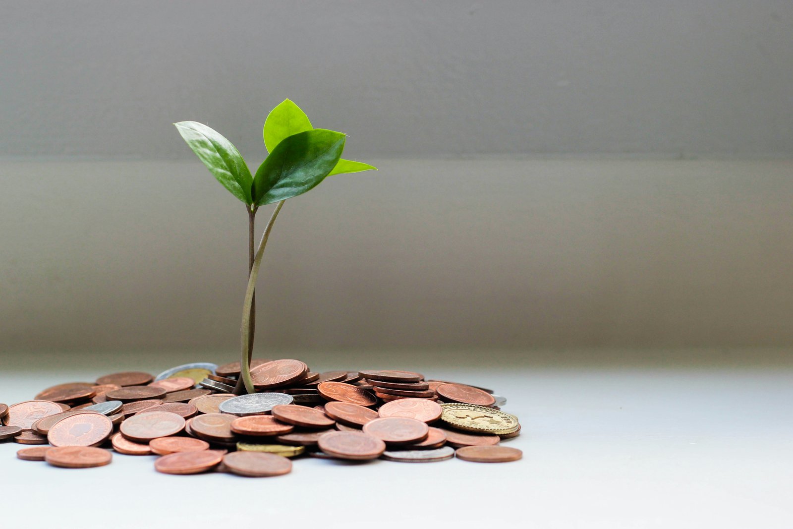 Personal Finance and Expense